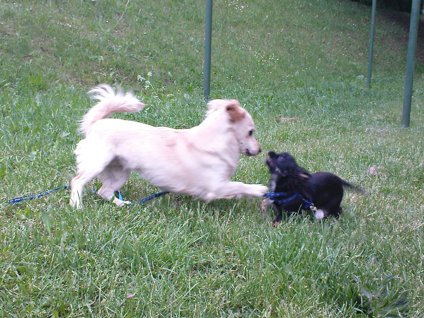 DSC00033.JPG