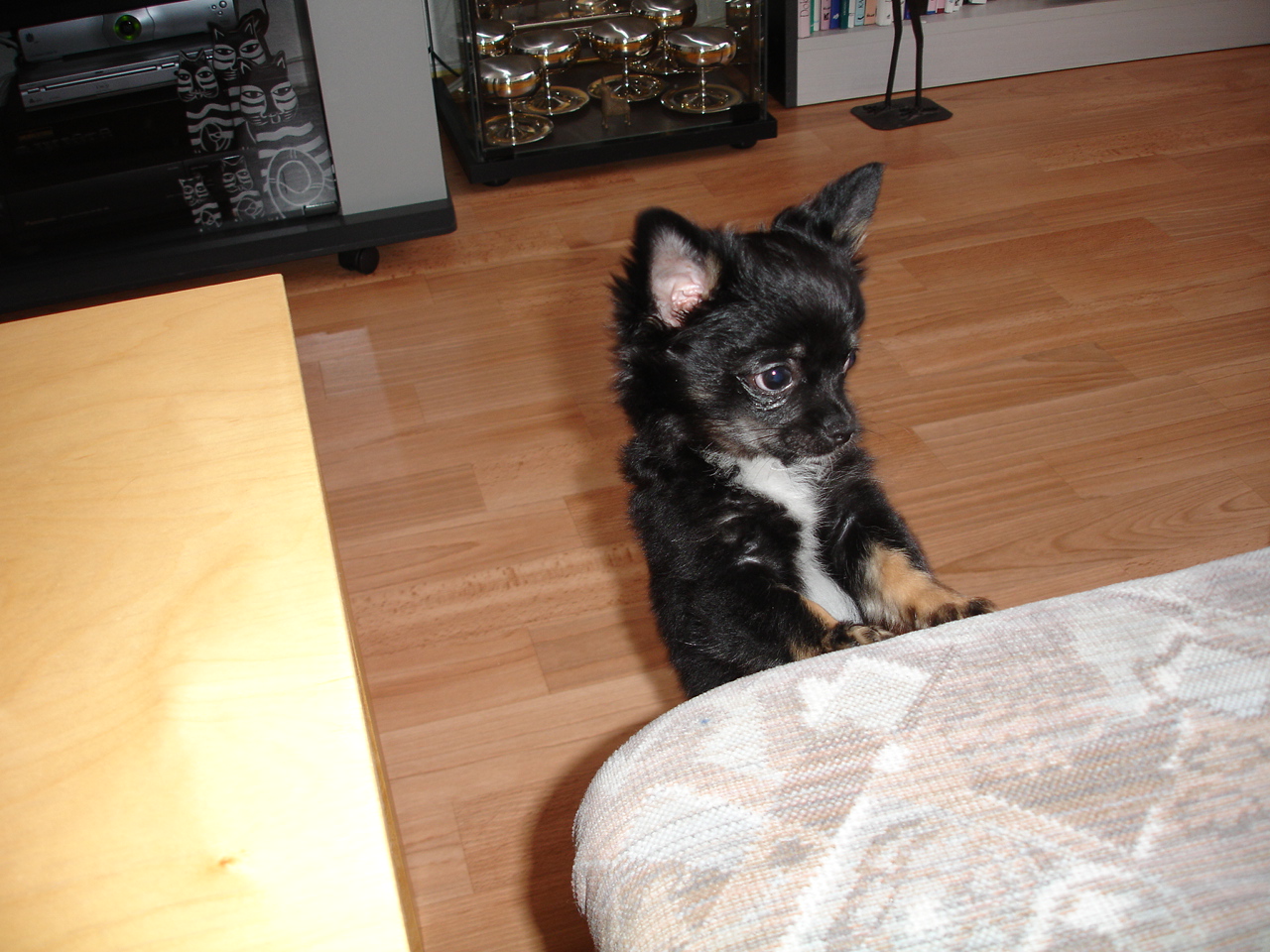 DSC06387.JPG