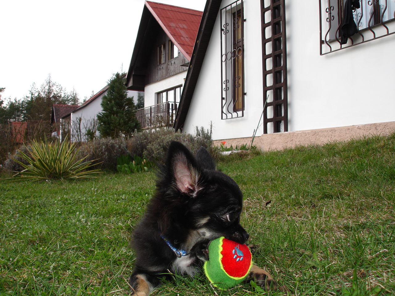 DSC06510.JPG